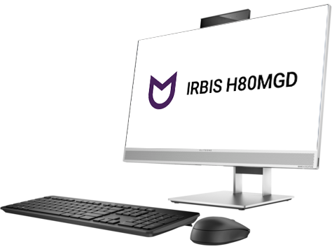 Моноблок IRBIS H80MGD