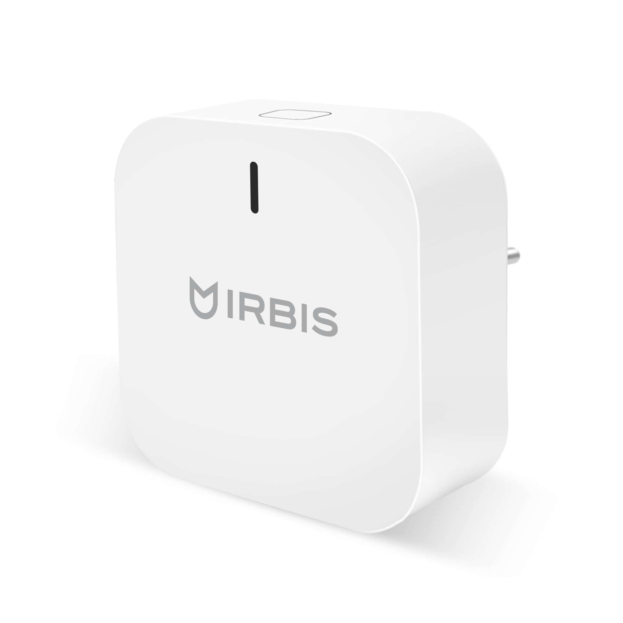 IRBIS